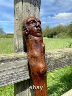 Fabulous 19th Century Folk Art Hedgerow Walking Cane With Carved Head & Horn Tip