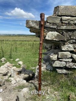 Fabulous 19th Century Folk Art Hedgerow Walking Cane With Carved Head & Horn Tip