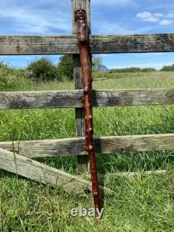 Fabulous 19th Century Folk Art Hedgerow Walking Cane With Carved Head & Horn Tip