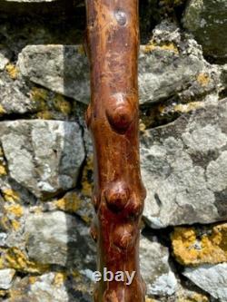 Fabulous 19th Century Folk Art Hedgerow Walking Cane With Carved Head & Horn Tip