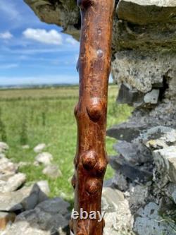 Fabulous 19th Century Folk Art Hedgerow Walking Cane With Carved Head & Horn Tip