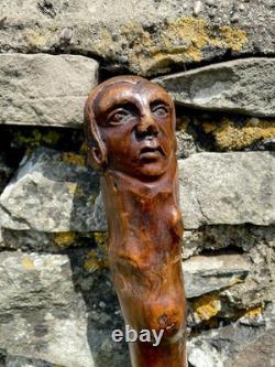Fabulous 19th Century Folk Art Hedgerow Walking Cane With Carved Head & Horn Tip