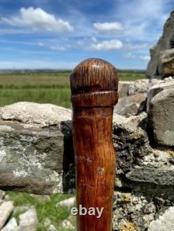 Fabulous 19th Century Folk Art Hedgerow Walking Cane With Carved Head & Horn Tip