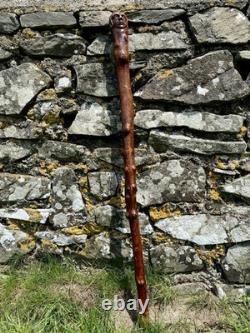 Fabulous 19th Century Folk Art Hedgerow Walking Cane With Carved Head & Horn Tip