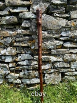 Fabulous 19th Century Folk Art Hedgerow Walking Cane With Carved Head & Horn Tip