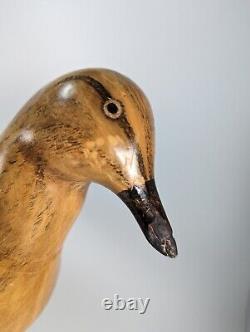Hand Carved Early Century Style Bird Folk Art Sculpture Driftwood Base Signed