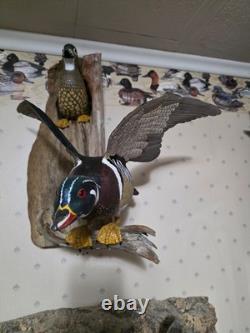 Hand-Carved & Painted Wood Duck Wall Mount Diorama by David Ward 1990 Folk Art