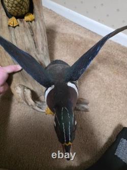Hand-Carved & Painted Wood Duck Wall Mount Diorama by David Ward 1990 Folk Art