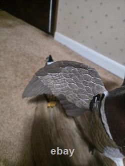 Hand-Carved & Painted Wood Duck Wall Mount Diorama by David Ward 1990 Folk Art