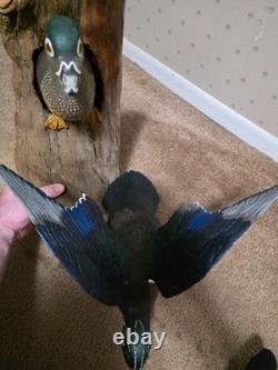 Hand-Carved & Painted Wood Duck Wall Mount Diorama by David Ward 1990 Folk Art