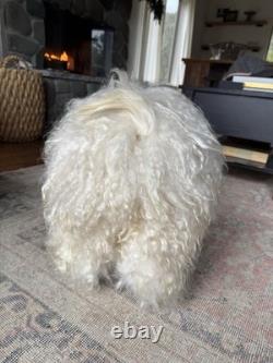 Hand-Carved Ray Growler Sheep Sculpture Rustic Folk Art 23 Long