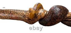 Hand Carved Vine Walking Stick Snake Folk Art BB Eyes Spider Web 41 Cane