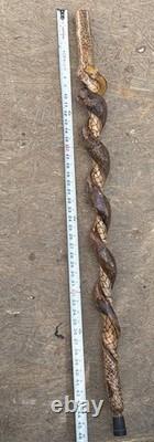Hand Carved Vine Walking Stick Snake Folk Art BB Eyes Spider Web 41 Cane