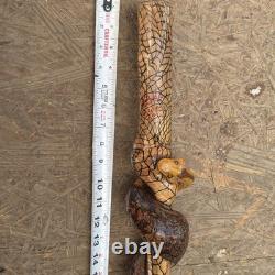 Hand Carved Vine Walking Stick Snake Folk Art BB Eyes Spider Web 41 Cane