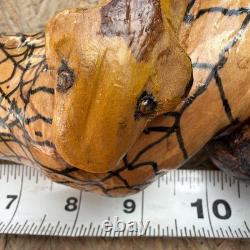Hand Carved Vine Walking Stick Snake Folk Art BB Eyes Spider Web 41 Cane
