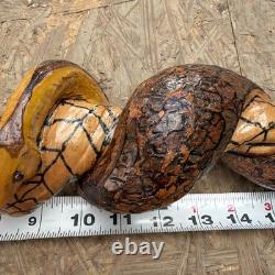 Hand Carved Vine Walking Stick Snake Folk Art BB Eyes Spider Web 41 Cane