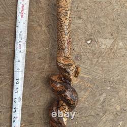 Hand Carved Vine Walking Stick Snake Folk Art BB Eyes Spider Web 41 Cane
