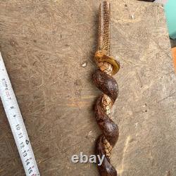 Hand Carved Vine Walking Stick Snake Folk Art BB Eyes Spider Web 41 Cane