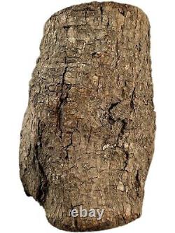 Jesus Christ Wooden Tree Bark Religious Hand Carved Christian Folk Art Statue
