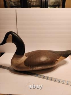 Joey Jobes Canada Goose Decoy 23 Hand Carved Chesapeake Bay Folk Art HDG