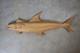 Large Dan Williams Carved Fish Folk Art 1984