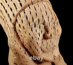 Large Vintage Southwest Cholla Cactus Wood Sculpture Native American Indian Bust