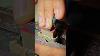 Learn How To Carve A Cicada Seal In 30 Seconds Art Relax