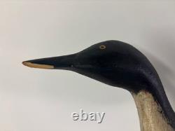 Loon Decoys/Folk Art Hand Carved and Painted Signed by Kautz decorative