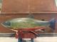 Mark Bruning Hand Carved Brook Trout Fish Decoy 21.5 Folk Art Signed Mi