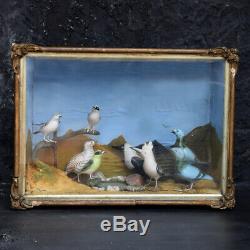 Mid-20th Century Hand Carved Folk-art Bird Diorama with Authentication Stamp