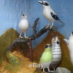 Mid-20th Century Hand Carved Folk-art Bird Diorama with Authentication Stamp