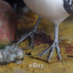 Mid-20th Century Hand Carved Folk-art Bird Diorama with Authentication Stamp