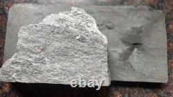OUTSIDER ART. Stone Sculpture Fisherman Overlooking Ocean READ DESCRIPTION