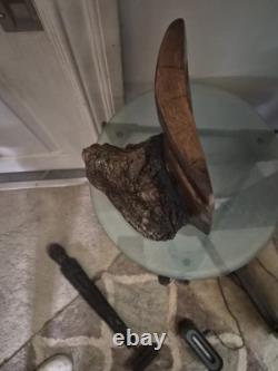 Original Folk/Outsider Art Carved Wooden Big Mouth Burl Sculpture