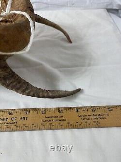 PAINTED WOOD MEXICAN DIABLO FOLK ART HORNED DEVIL MASK Hand Carved Vintage