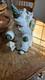 Pam Schifferl Santa Woodland Animals Christmas Carved Folk Art Retired Htf Wolf