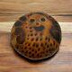 Peruvian Hand-carved Owl Gourd Squash Folk Art Rattle 2.75