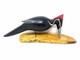 Pileated Woodpecker Folk Art Wood Carving Signed By Jim Slack