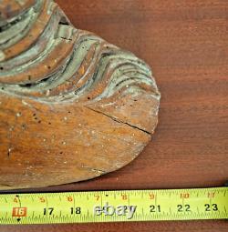 RARE Antique Carved Wood Folk Art Carousel Horse Head Mortise & Tenon Joinery