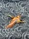 Rare 1848 Hand-carved Wooden Flying Duck Brooch Dated Jan 25, Antique Folk Art