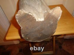 Rare Primitive Folk Art Sculpture Heavy Decor Handcarved Penguin Statue Bust
