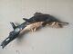 Root Ball Folk Art Hand Carved And Painted Sail Fish Wall Hanging