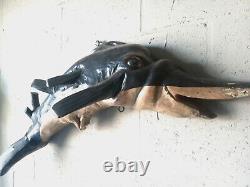 Root Ball Folk Art Hand Carved And Painted Sail Fish Wall Hanging