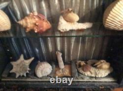 Seashell Folk Art Diorama, Very Large