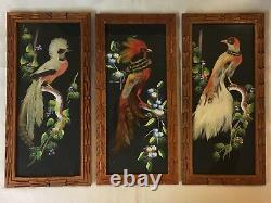 Set Of 3 Mexican Feathercraft Exotic Real Feathers Hand Carved Frames