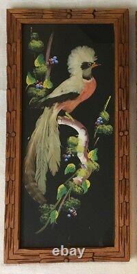 Set Of 3 Mexican Feathercraft Exotic Real Feathers Hand Carved Frames