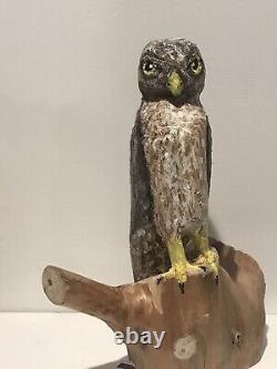 Sharp Shinned Hawk Hand Carved Single Piece Driftwood Folk Art