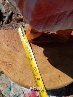 Unique Chainsaw Carved Rooster 22 Tall Wooden Chicken