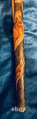 Vintage Antique Folk Art Carved Wood Snake Salamander Walking Stick Cane