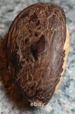 Vintage Antique Folk Art Hand Carved Tagua Nut Indian Chief Head Portrait Cameo